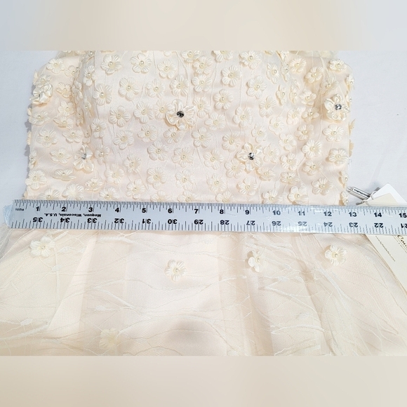 TS COUTURE Women's Size 2/4 Sleeveless Dress, Lined, Tulle skirt, Embroi… - Picture 3 of 15